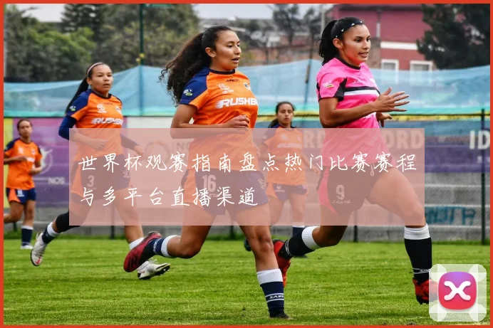 世界杯观赛指南盘点热门比赛赛程与多平台直播渠道